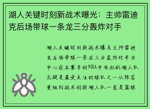 湖人关键时刻新战术曝光：主帅雷迪克后场带球一条龙三分轰炸对手