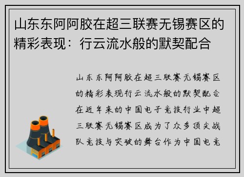 山东东阿阿胶在超三联赛无锡赛区的精彩表现：行云流水般的默契配合