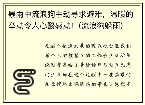 暴雨中流浪狗主动寻求避难，温暖的举动令人心酸感动！(流浪狗躲雨)