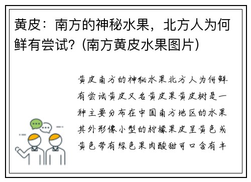 黄皮：南方的神秘水果，北方人为何鲜有尝试？(南方黄皮水果图片)